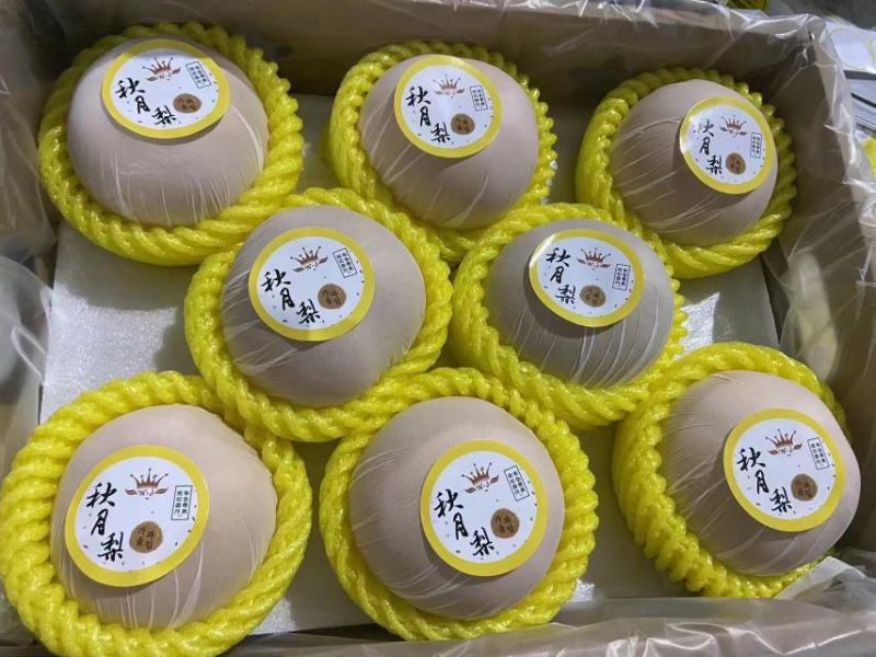 山东聊城秋月梨定制礼盒包装按需分拣现摘先发可以代发直播带货