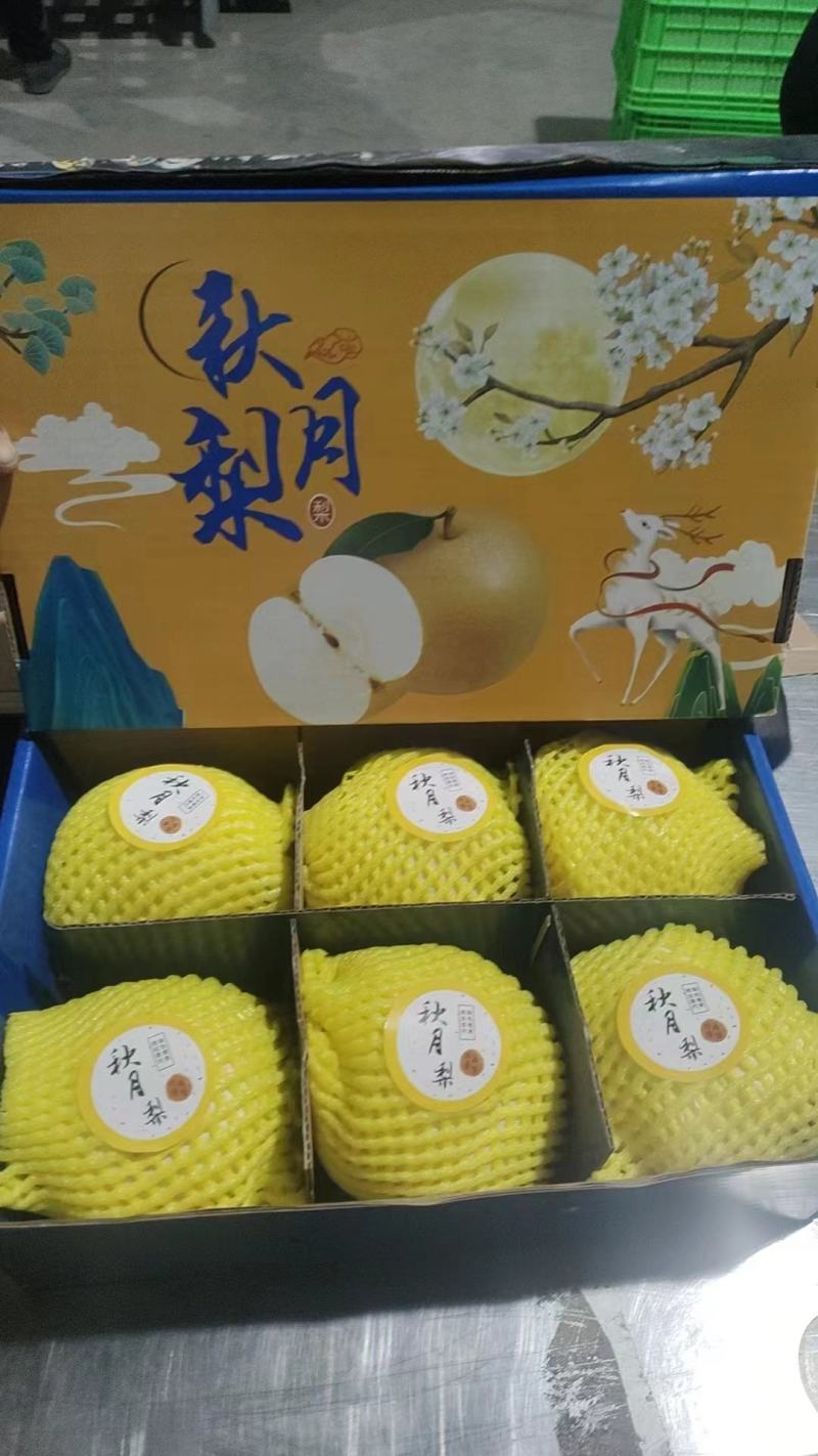 山东聊城秋月梨定制礼盒包装按需分拣现摘先发可以代发直播带货