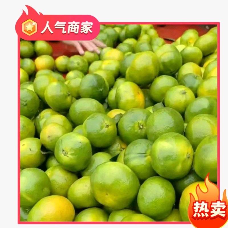 四川省资阳【普早】蜜橘，汁多皮薄，口感好，接各大电商部