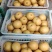 (精品新高梨）山东冠县中心主产区货源充足
