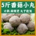 火锅备用食材