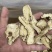 甘肃岷县当归头片口味醇正新货实拍现货产地直发质量保证
