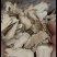 甘肃岷县当归头片口味醇正新货实拍现货产地直发质量保证