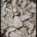 甘肃岷县当归头片口味醇正新货实拍现货产地直发质量保证