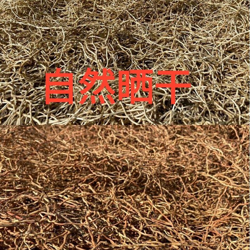 鱼腥草干根折耳根自然晒干
