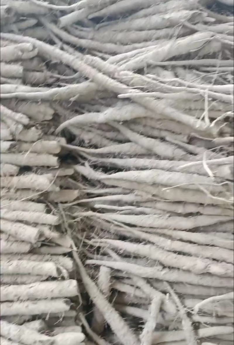 河北铁棍山药双胞山药产地直销全国代发保证质量