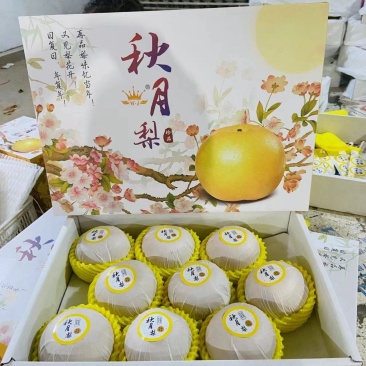 山东冠县精品秋月梨，主产区秋月梨