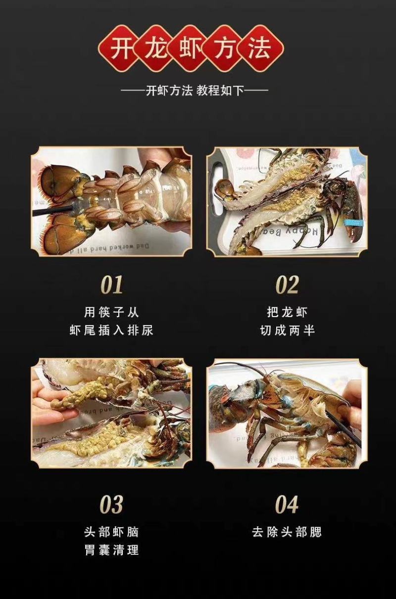 0.6斤—9斤特大生冻加拿大波斯顿龙虾批发，量大优惠