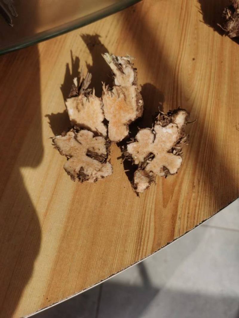 野生苍术，朱砂点和北苍术都有，苍术鲜货一斤12元，数量：
