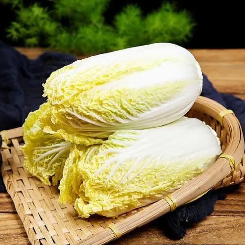 精品娃娃菜，新鲜上市，可视频看货，来电沟通