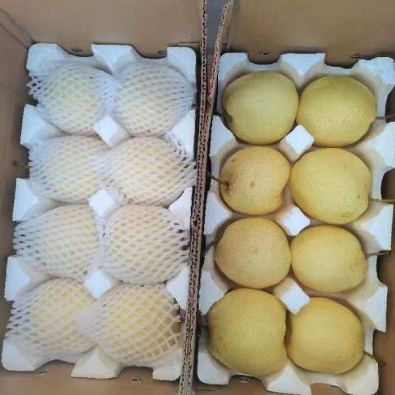 山西酥梨贡梨脆甜可口皮薄多汁包邮一