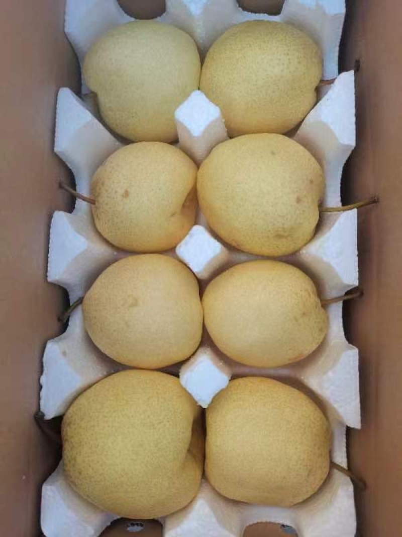 山西酥梨贡梨脆甜可口皮薄多汁包邮一