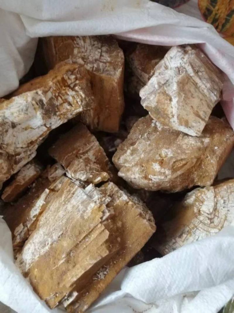 山西临猗，黄河边上沙层千年龙骨，龙牙有大小货，有完整化！