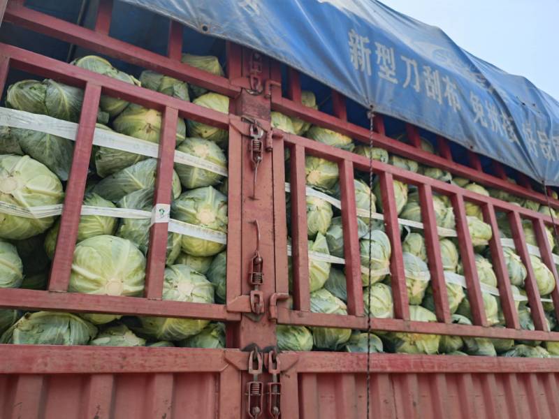 平包奥奇丽奥奇娜大量大货