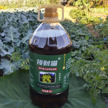 接财猫菜籽油贵州高山土榨菜籽油5L9.2斤