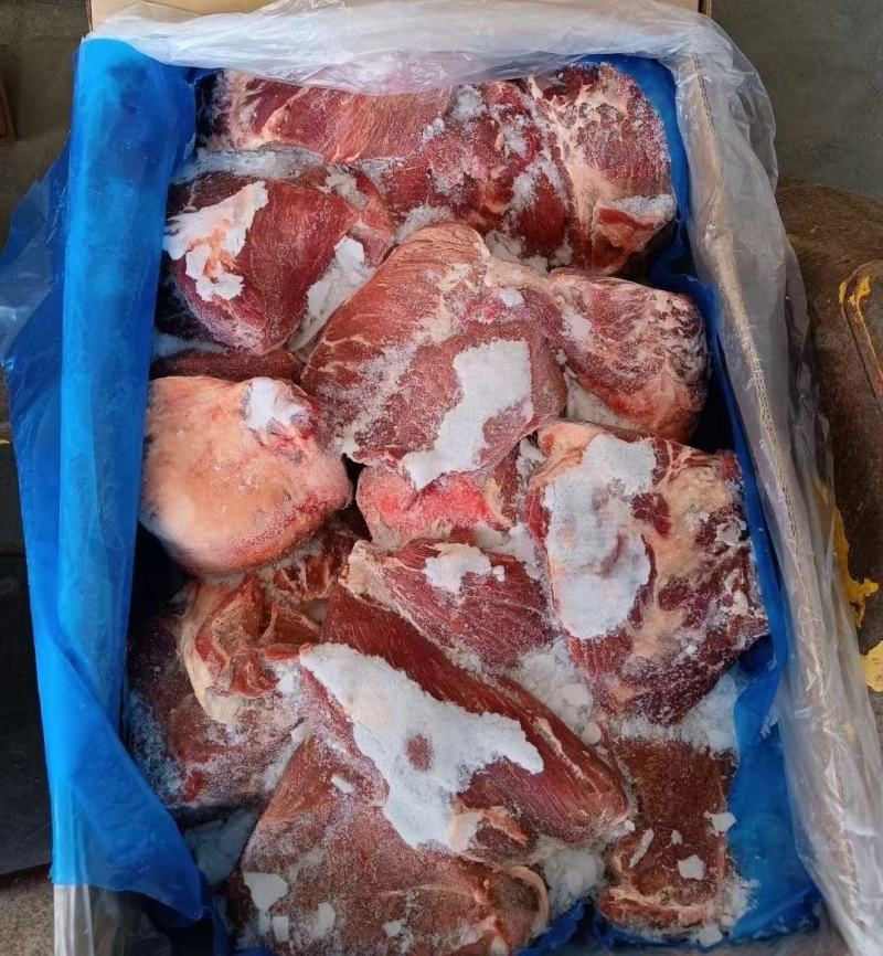 牛前现货，各种厂号都有，全国冷链物流发货，一手货源！！！