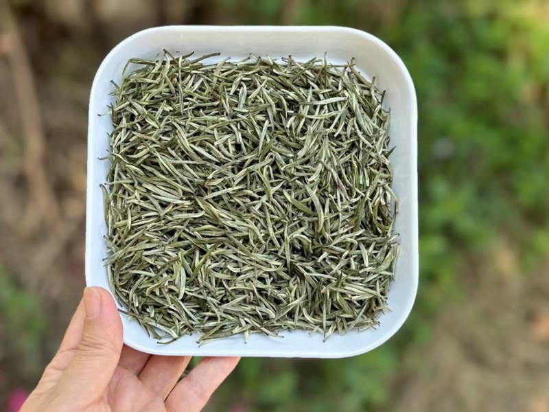 小芽兰妃特级