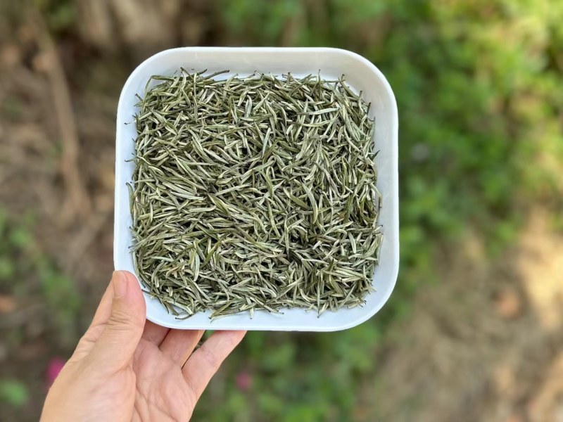 小芽兰妃特级
