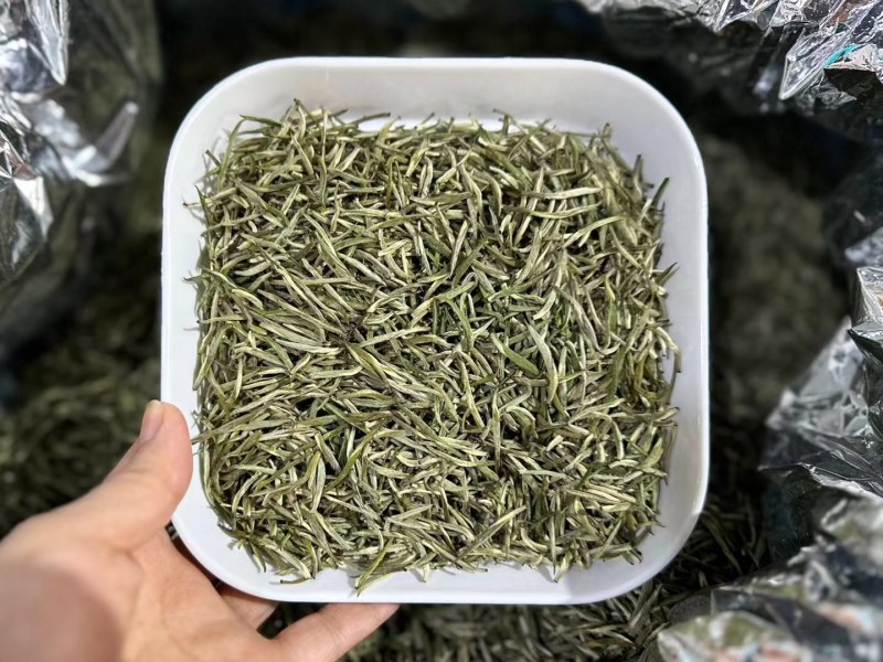 小芽兰妃特级