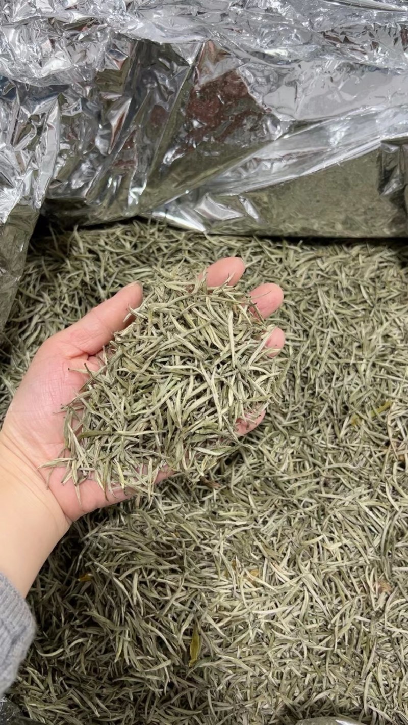 特级兰妃