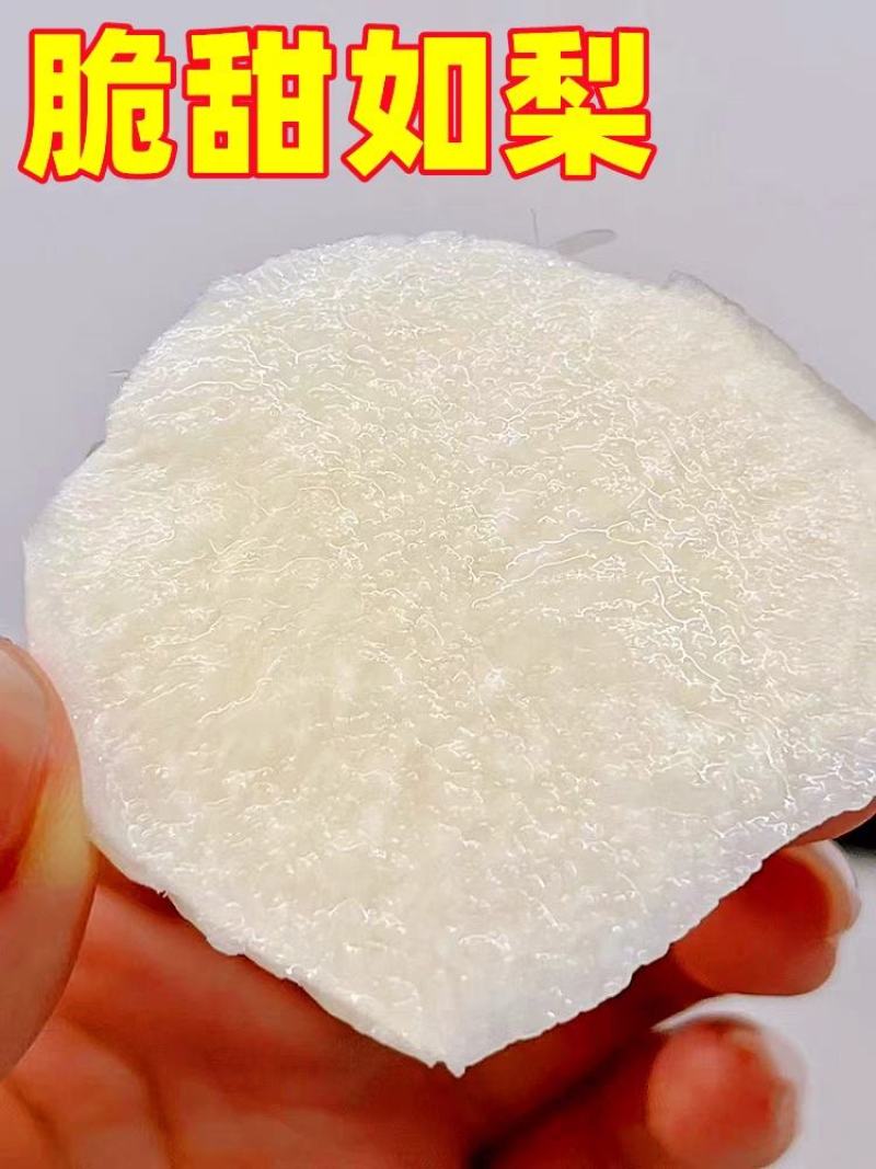 豆薯凉薯地瓜一手货源没有中间商赚差价，欢迎订购