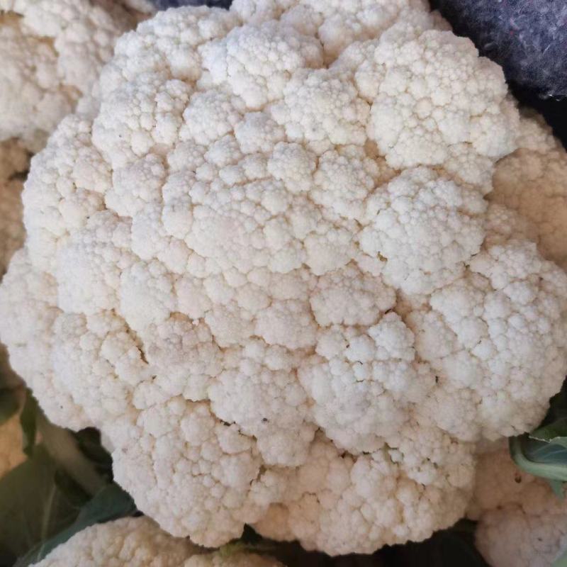 花菜散花白面青梗松花菜鲜花菜市场货电商货