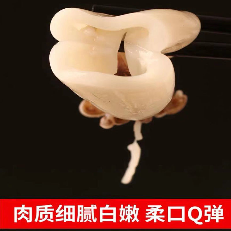 海鲜鲜活小墨鱼乌贼八爪鱼章鱼鱿鱼新鲜墨鱼仔生鲜爆头水产冷