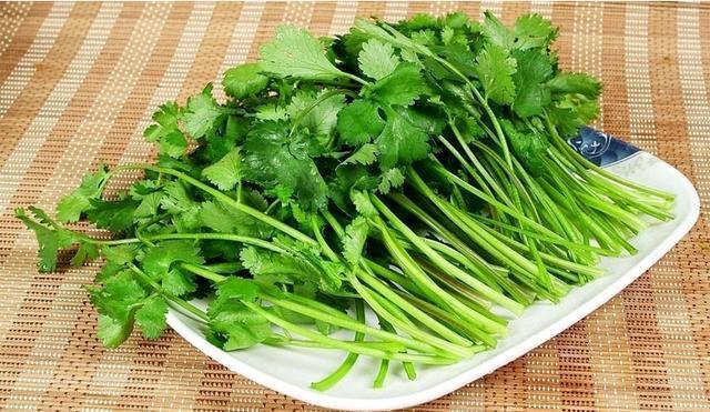 香菜沙拉摆盘图