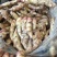 山东红芽鲜姜种植基地鲜姜大量上市品质好版型大货源充足