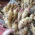 山东红芽鲜姜种植基地鲜姜大量上市品质好版型大货源充足