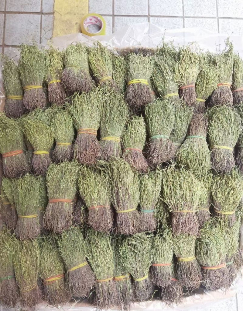 独脚金独脚柑新货大货批发源头直供产地直销