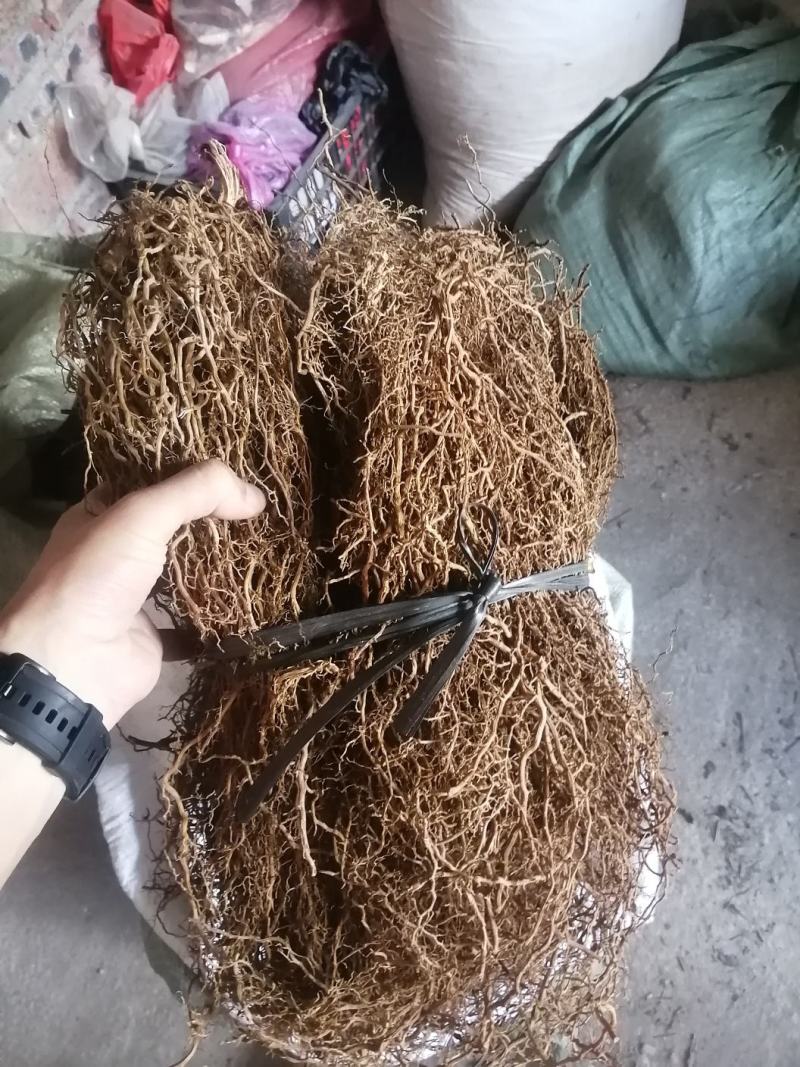 牛尾菜野生牛尾菜足干色泽好无添加煲汤食材