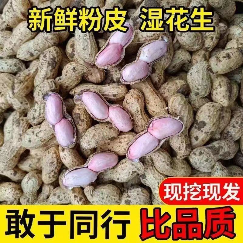 带壳花生丨干湿花生丨支持电商丨质量好，价格优丨产地直发丨