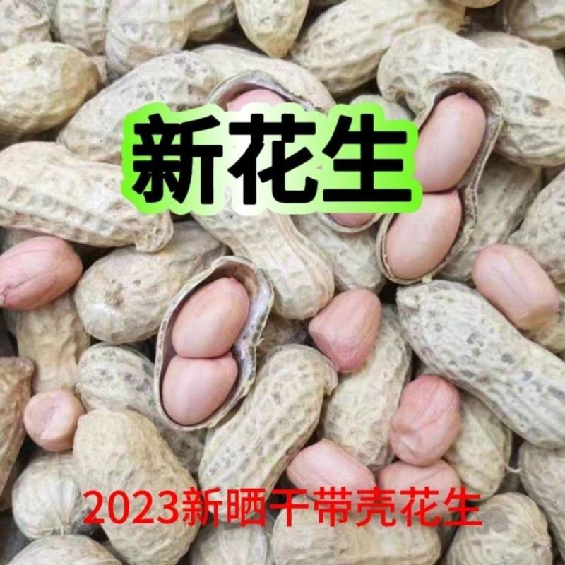 带壳花生丨干湿花生丨支持电商丨质量好，价格优丨产地直发丨