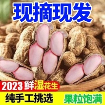 产地直发，量大从优，品种齐全，价格实惠，颗粒饱满