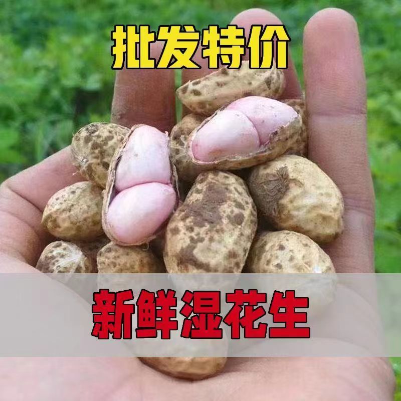 产地直发，量大从优，品种齐全，价格实惠，颗粒饱满