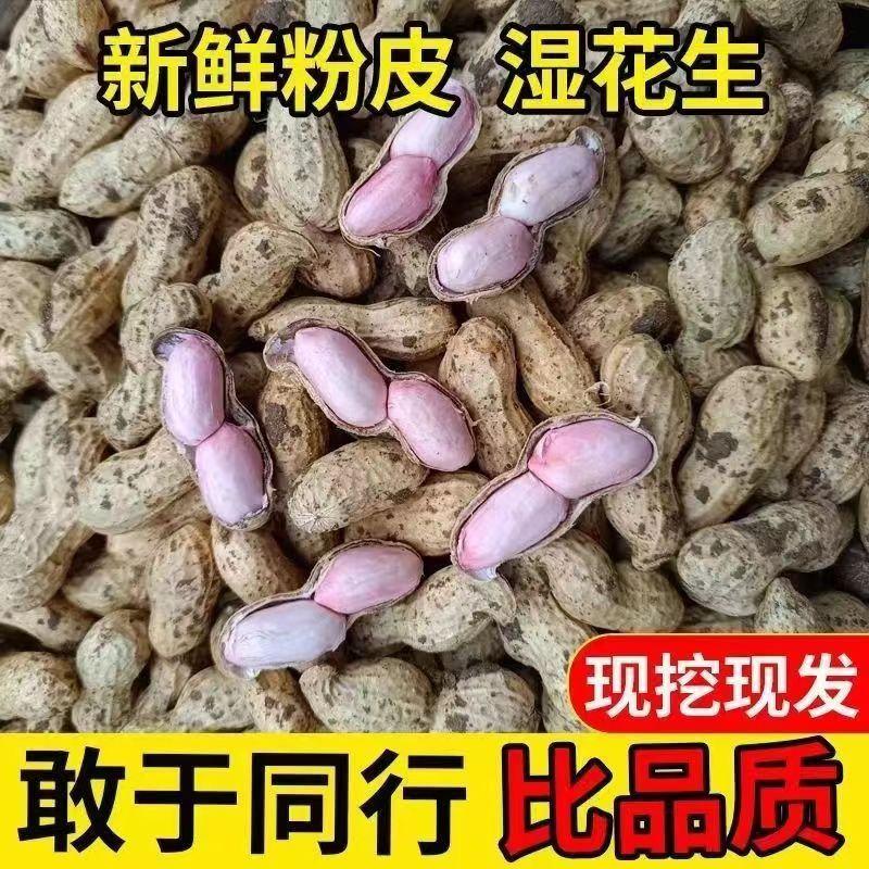 产地直发，量大从优，品种齐全，价格实惠，颗粒饱满，售后有