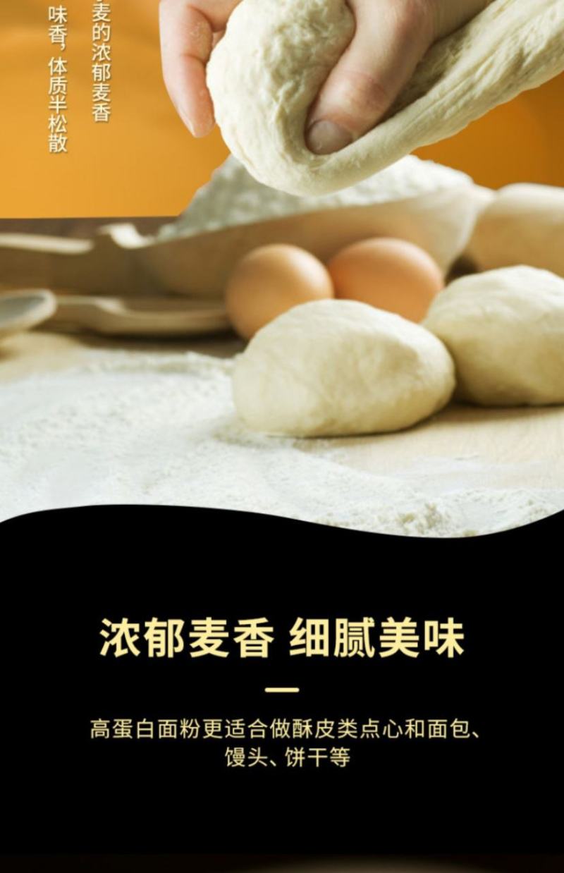 新疆天山北坡全麦面粉，产自天山脚下，天山雪水灌溉，无污染！