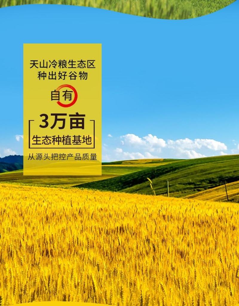 新疆天山北坡全麦面粉，产自天山脚下，天山雪水灌溉，无污染！