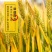新疆天山北坡全麦面粉，产自天山脚下，天山雪水灌溉，无污染！