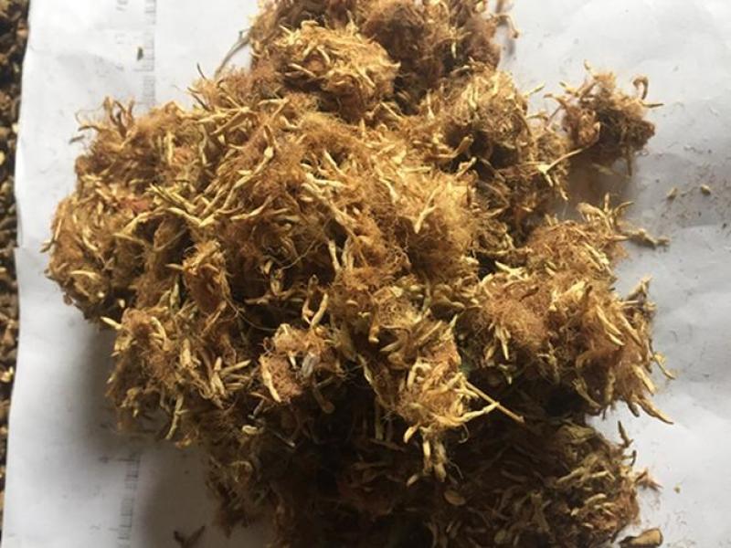 合欢花，新货无硫无熏蒸产地直发，质量保证实拍现货24小时