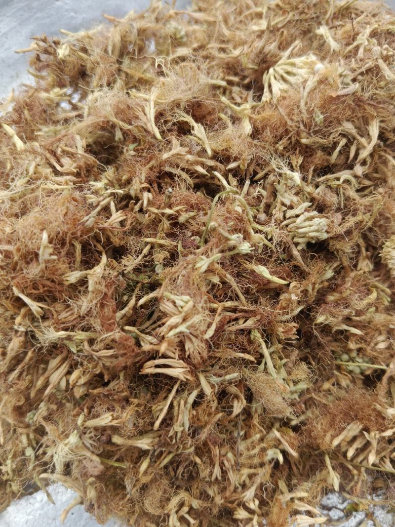 合欢花，新货无硫无熏蒸产地直发，质量保证实拍现货24小时