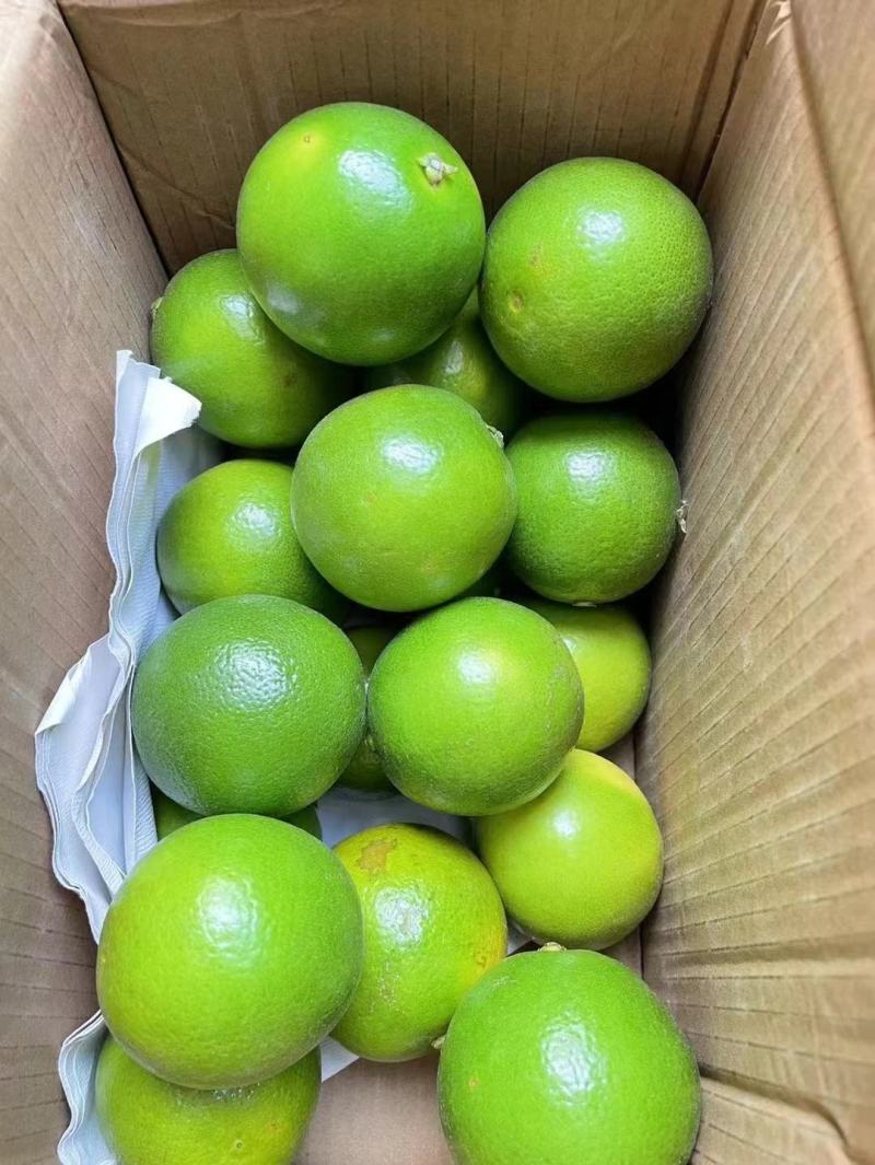 云南冰糖橙