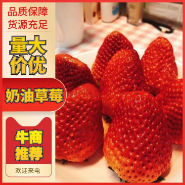 精品奶油草莓新鲜上市/专业流水线/各种精美包装/包您满意