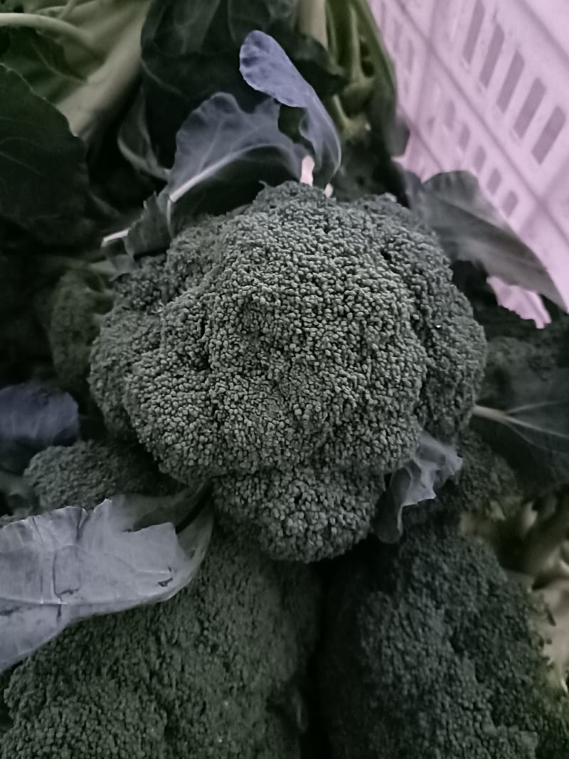 西兰花