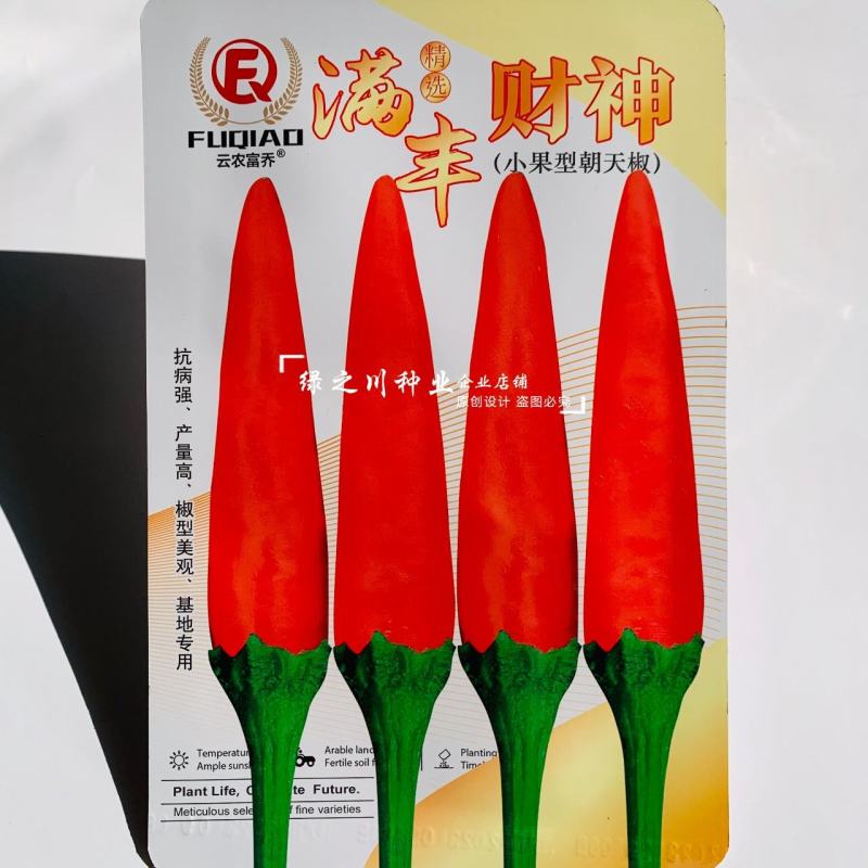 满丰财神小果椒中玉朝天椒种子香辣型干椒种子鲜红色辣椒
