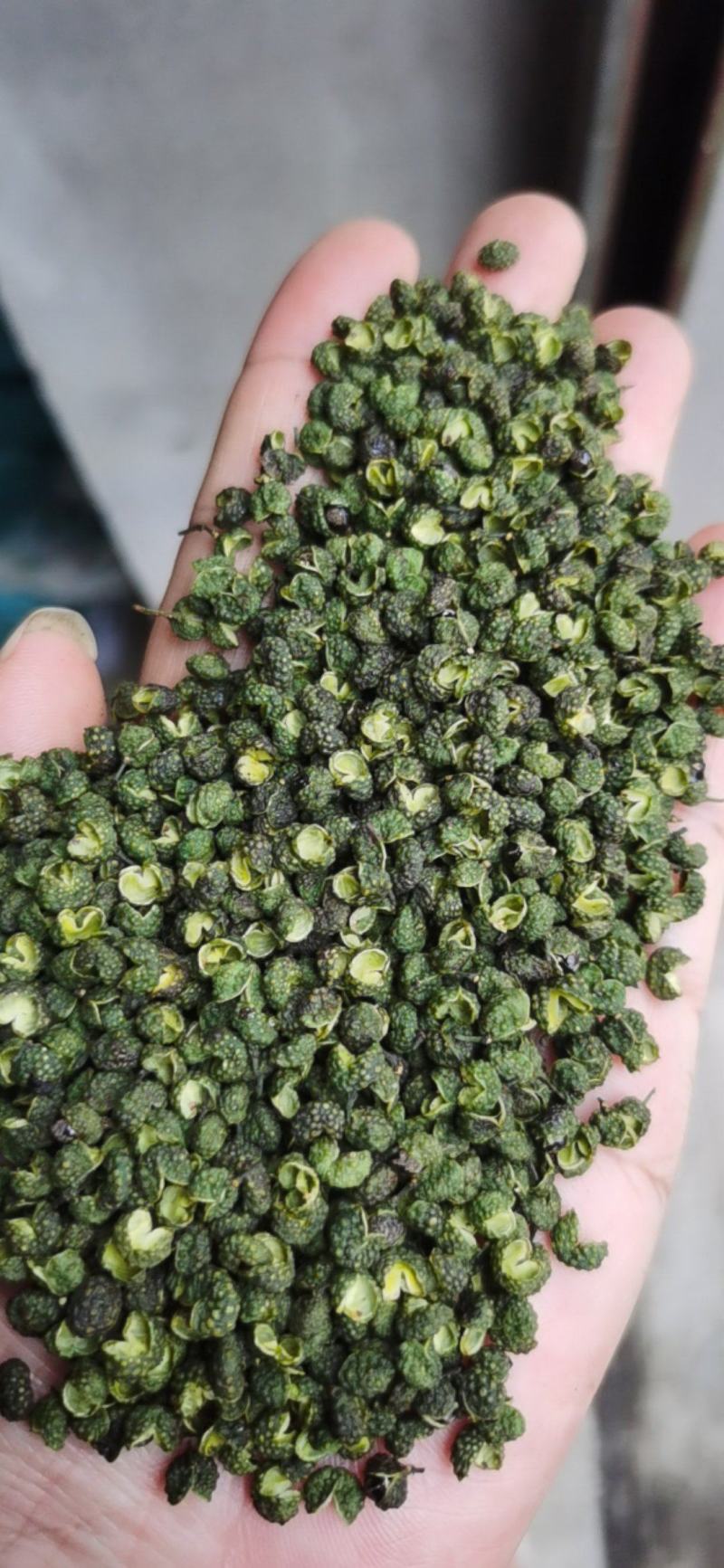 精品青花椒开口90
