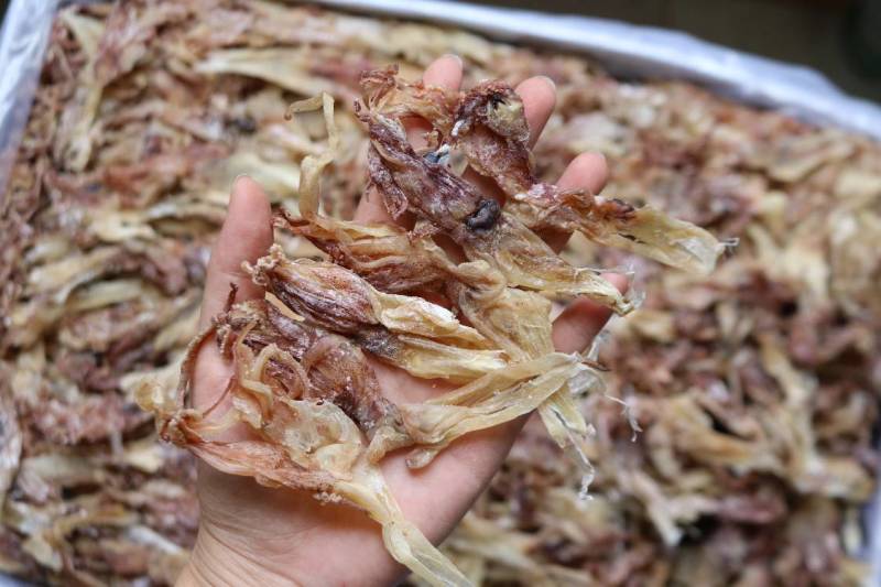 鱿鱼头，白净，新鲜肉质好，鱿鱼须口感好，爆炒