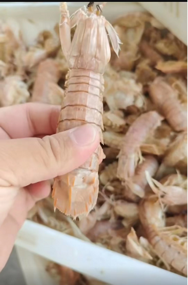 熟冻皮皮虾