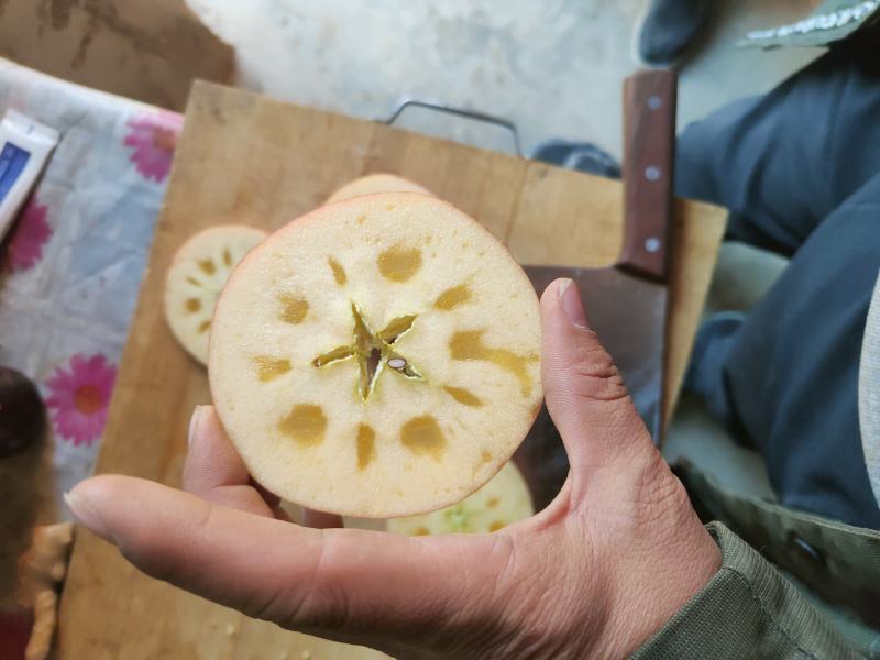 新疆阿克苏，红旗坡冰糖心红富士